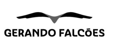 Logo: Gerando Falcões